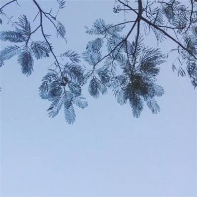 开盘：美股周三高开 传美向伊朗提交和平计划